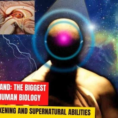 Šišinka mozková: Největší tajemství lidské biologie, duchovního probuzení a nadpřirozených schopností